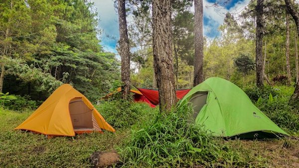 Le meilleur du campings près des châteaux de la Loire à découvrir