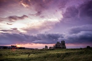 Une variété de campings dans les Pays de la Loire, offrant des emplacements spacieux, des services de qualité et des activités pour toute la famille.